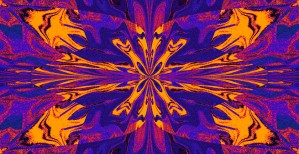 Abstract Butterfly 9